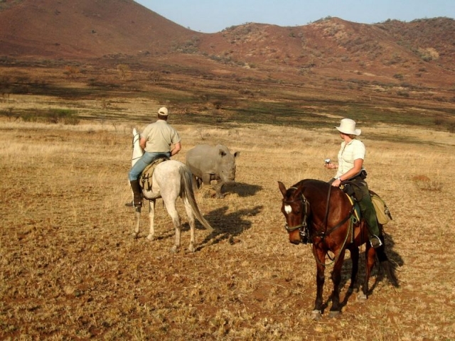  Equestrian travel in South Africa 
